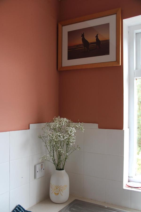 Beautiful Apartment In Guildford With Parking Send Ngoại thất bức ảnh